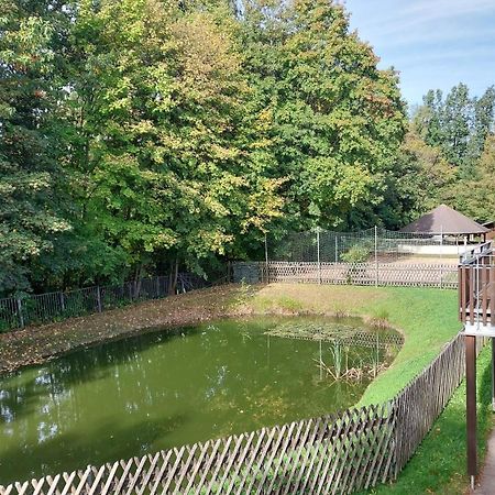 Ferienwohnung Teichblick Freiberg Eksteriør bilde