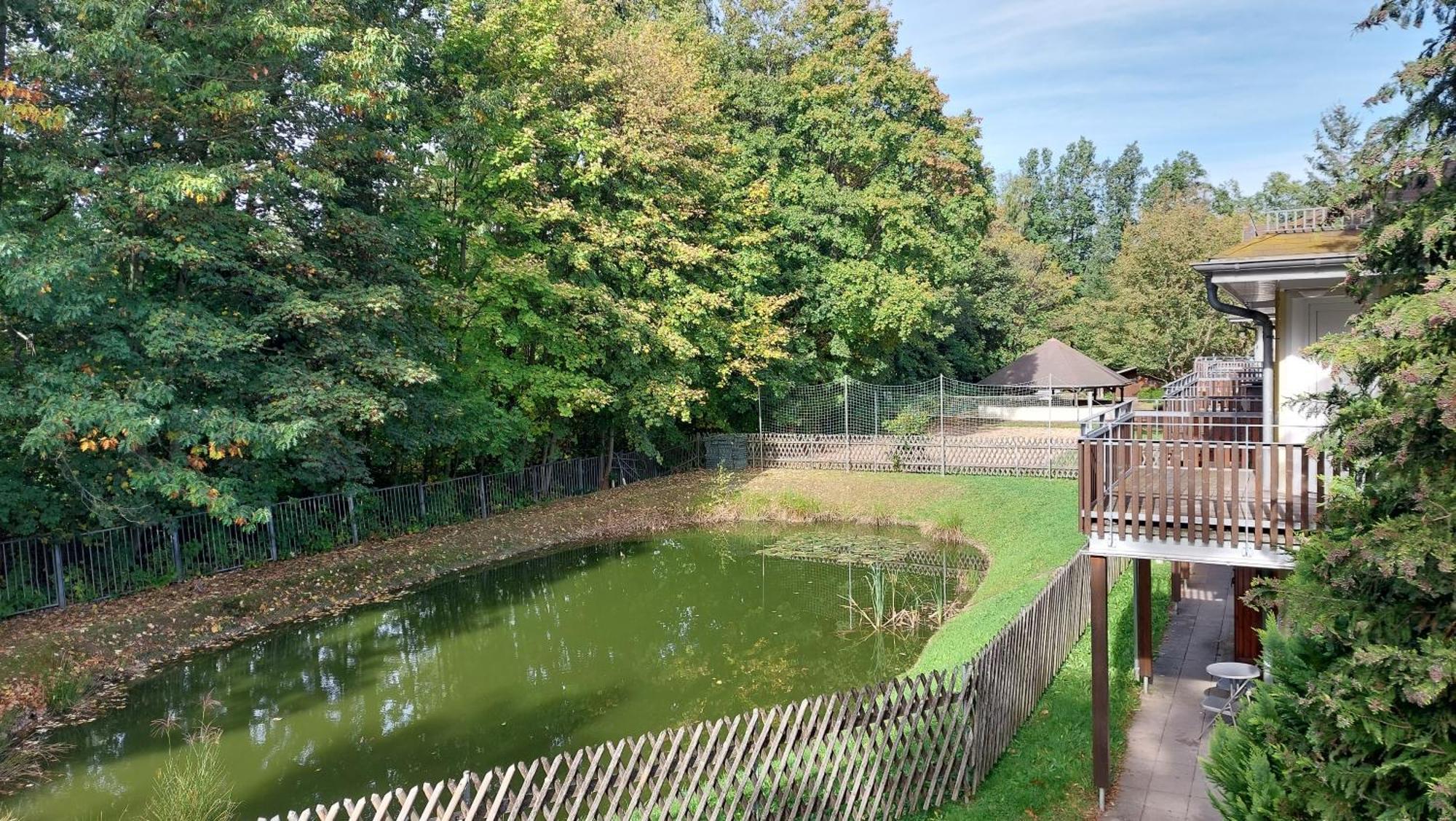 Ferienwohnung Teichblick Freiberg Eksteriør bilde